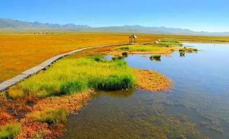 秋天不去這些地方,你談什么旅行