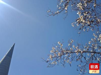 日朗天晴小游園,恬靜幽香大路邊