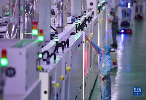 新華全媒 龍頭企業保生產 穩定光伏產業鏈 網絡科技研發